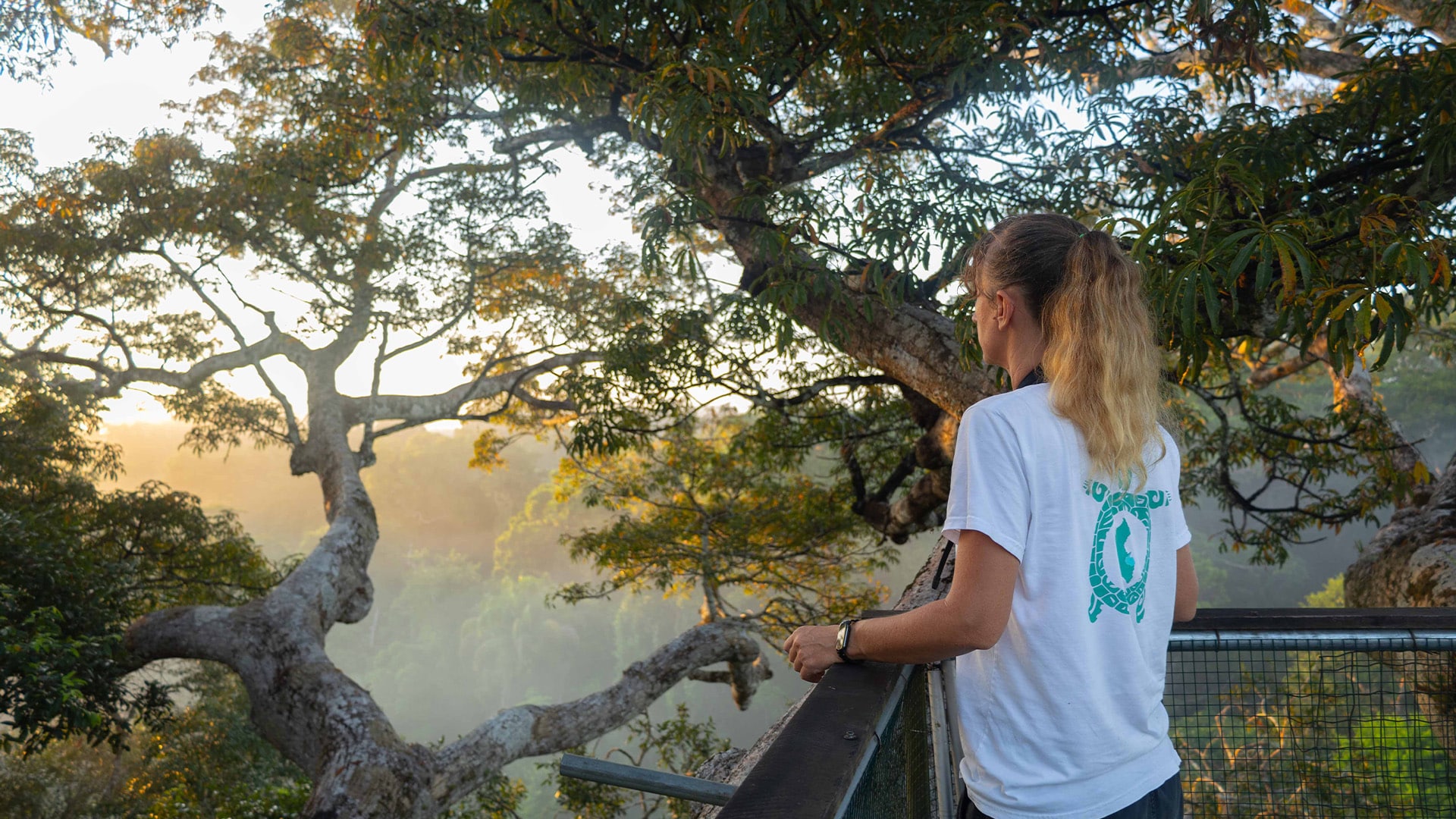 Peru Canopy Viewpoint