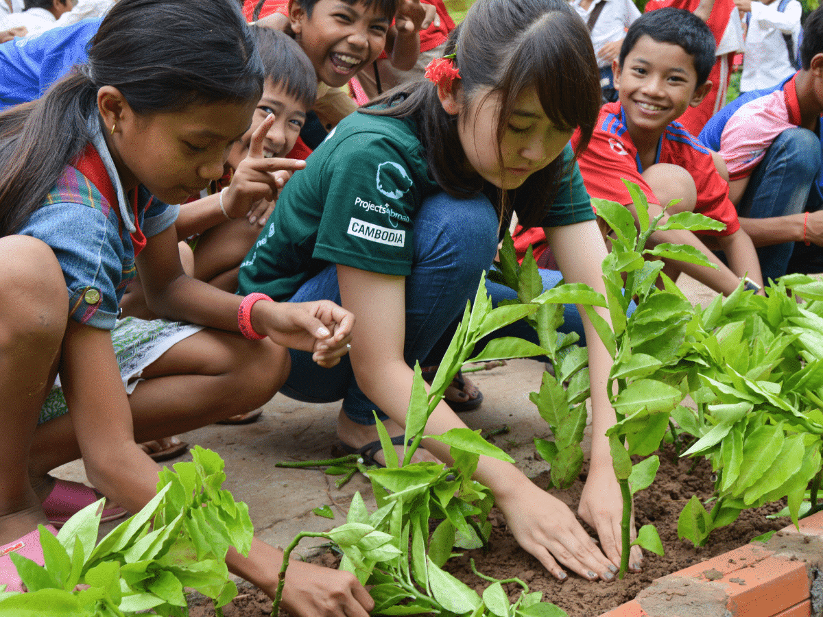 Cambodia - Volunteer putting plants in a school flowerbed