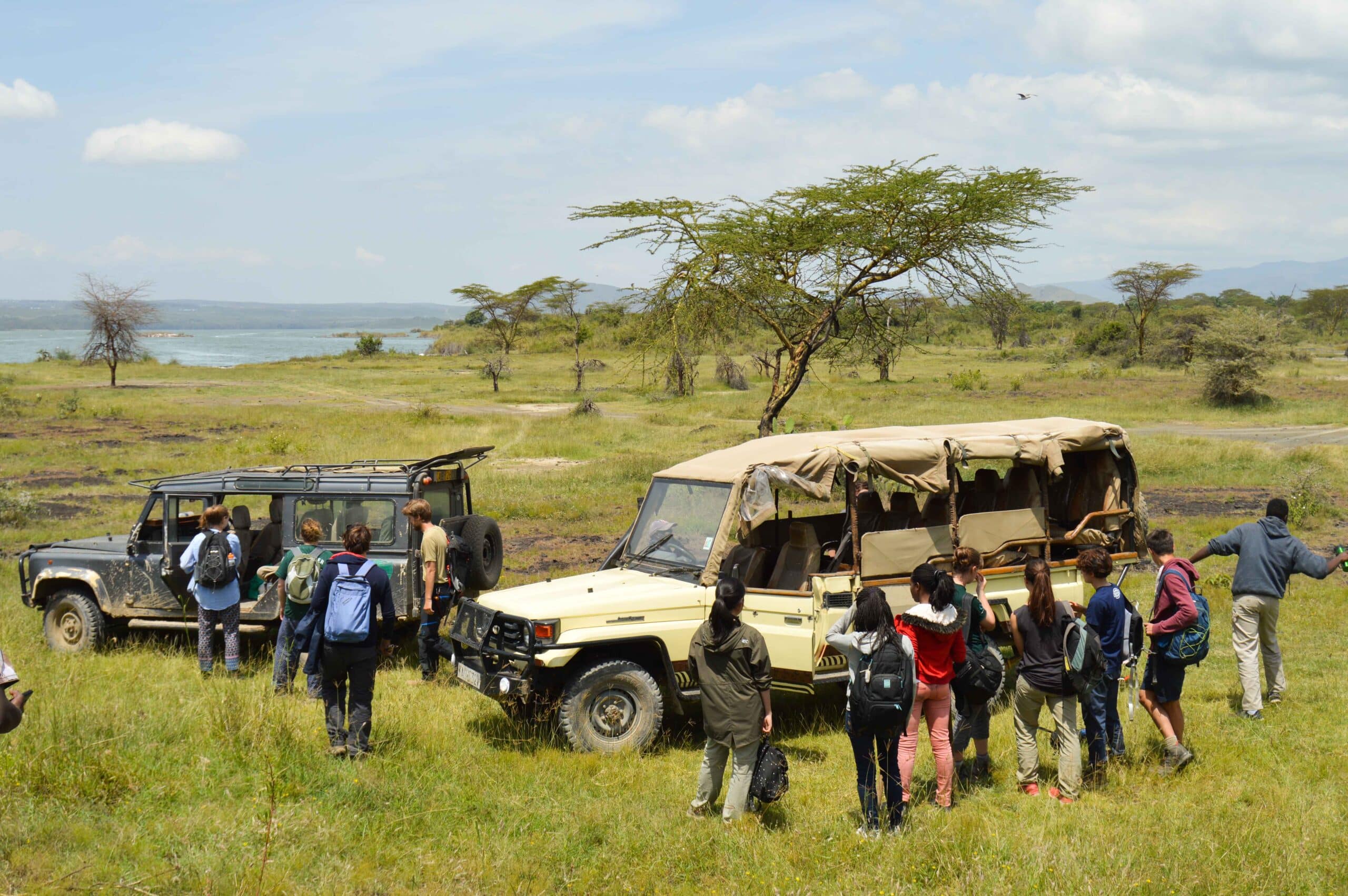 Monitor the iconic species living in the conservancy