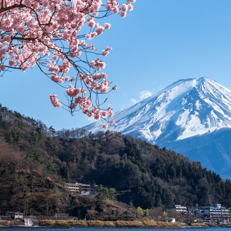 Japan